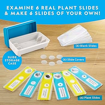 Amazon.com: National Geographic Microscope for Kids